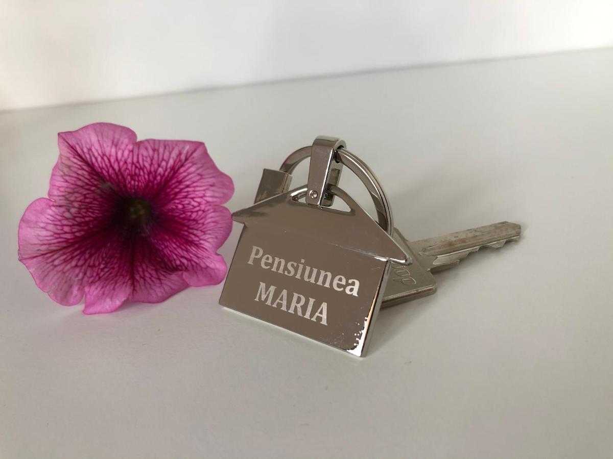 Pensiunea Maria Colibiţa Extérieur photo